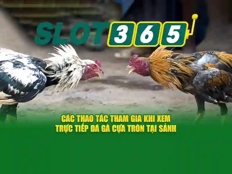 đăng nhập Slot365 – Tổng quan chủ đề và giá trị cốt lõi