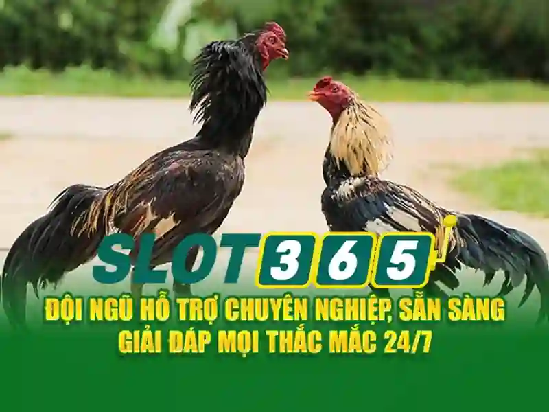 Nguồn gốc và sứ mệnh của Slot365 an toàn không