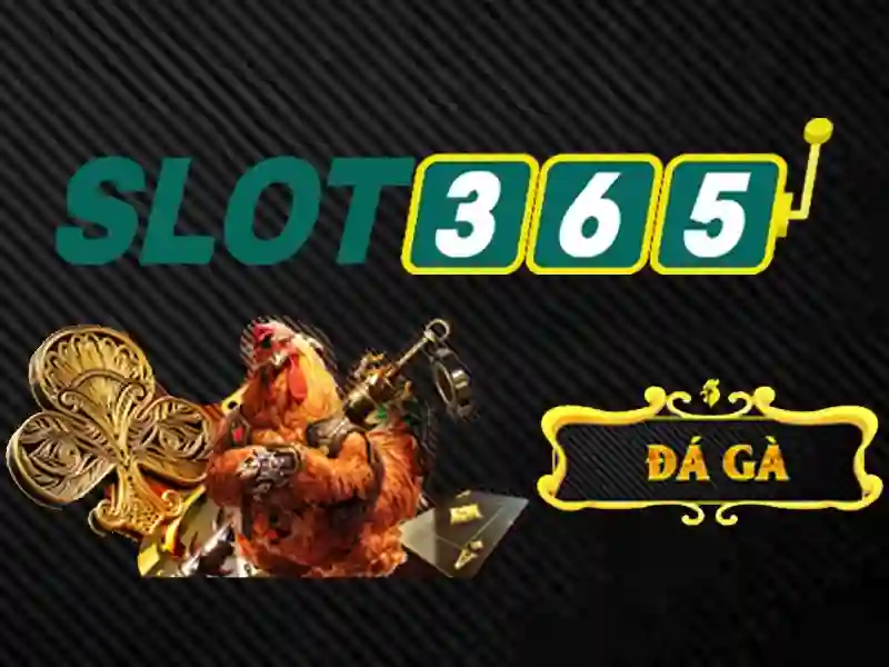 Slot365 rút tiền – Trải nghiệm an toàn và đánh giá toàn diện