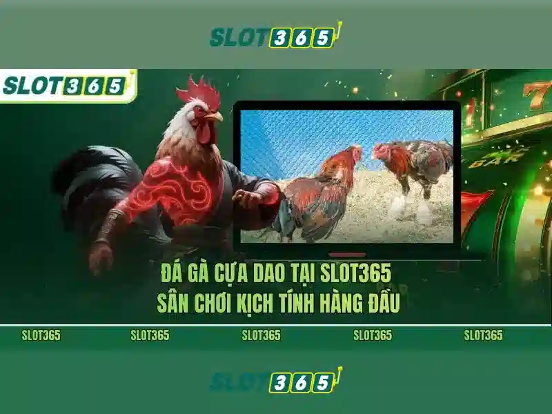 Slot365 là một nền tảng slot trực tuyến đáng tin cậy
