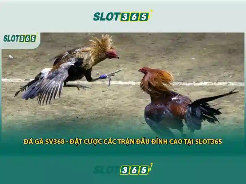 Trải nghiệm người dùng mượt mà trên mọi thiết bị
