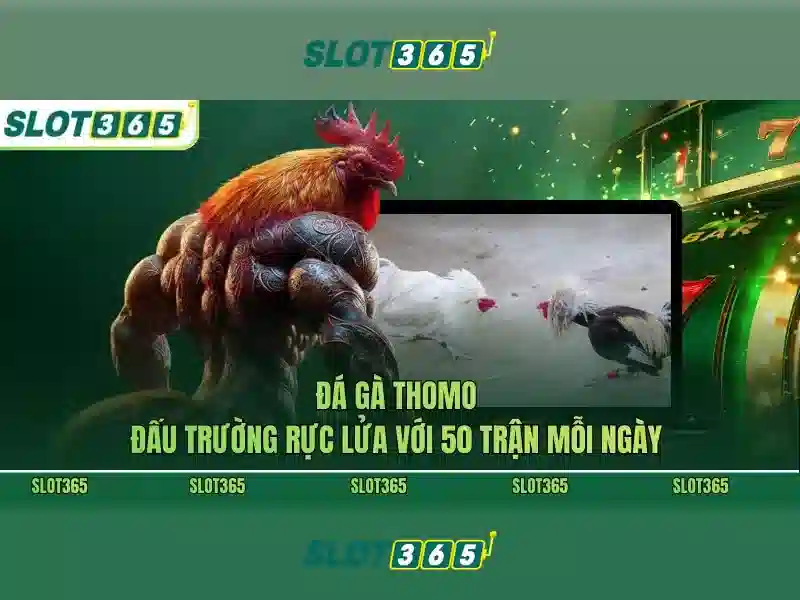 An toàn, bảo mật và thanh toán