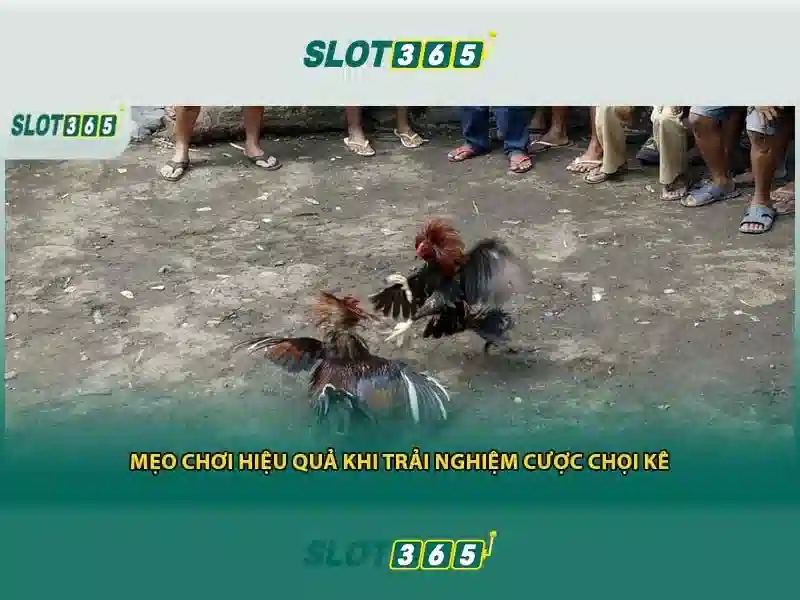 Slot365 free – Trải nghiệm đỉnh cao với Slot365