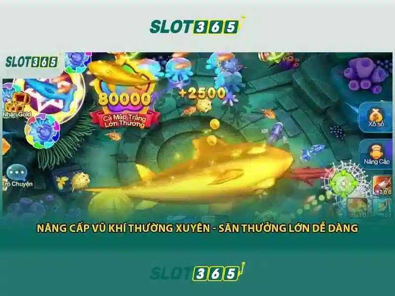 Slot365: Nền tảng chơi xèng trực tuyến
