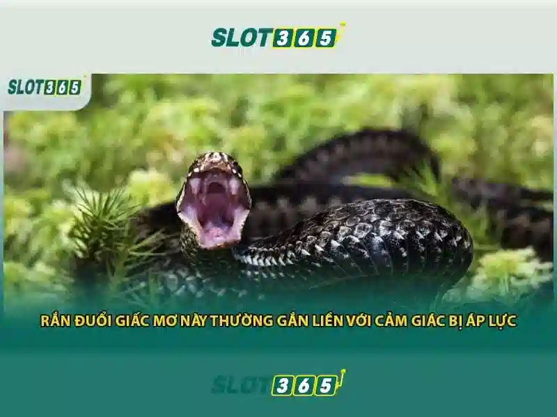 Slot365 apk: Trải nghiệm mới với link Slot365