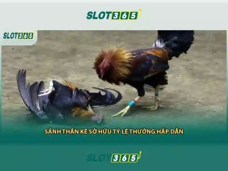 Slot365: Khu vực trò chơi máy đánh bạc trực tuyến nổi bật