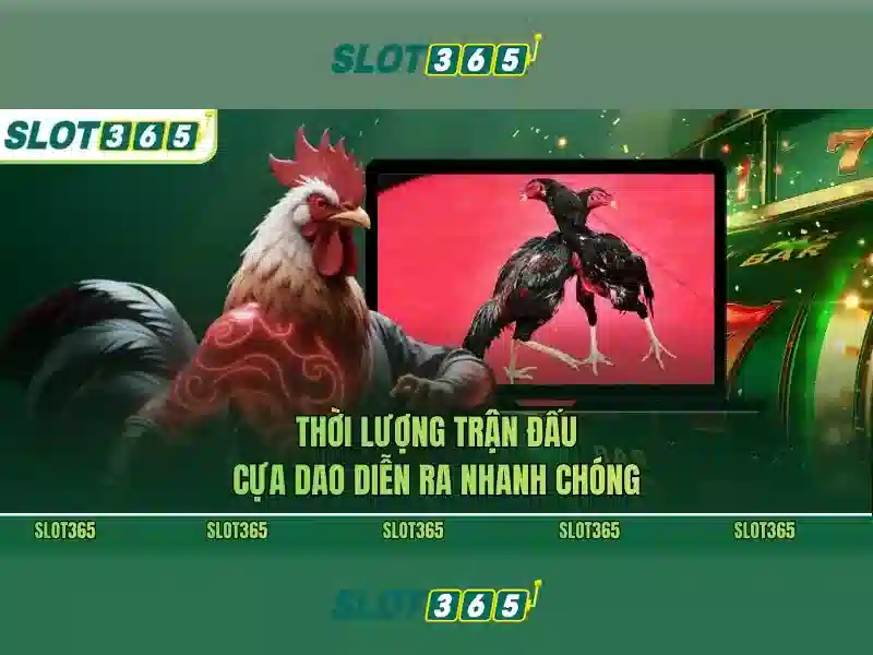 slot365 ap – Tổng quan chủ đề và giá trị cốt lõi
