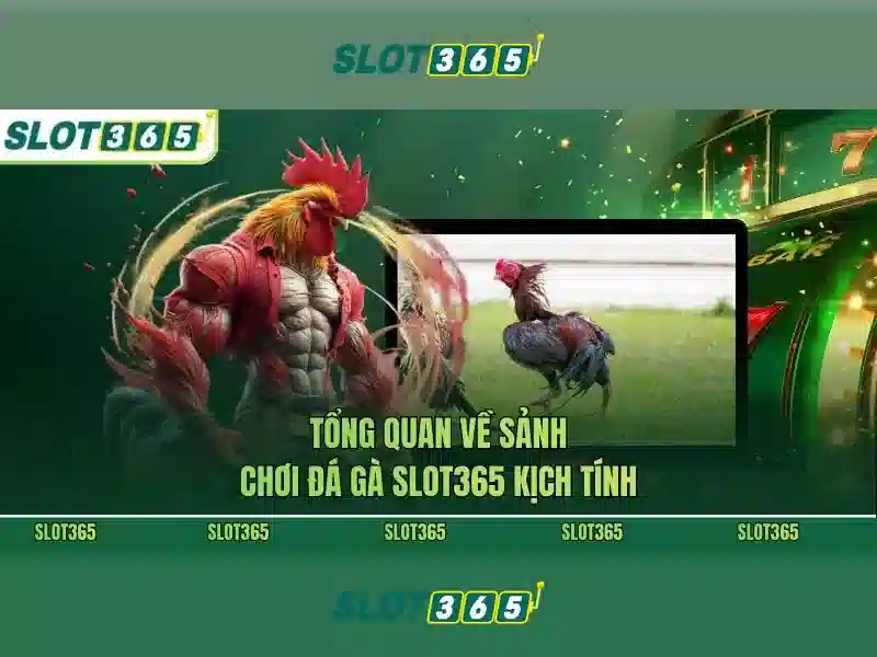 Slot365 - Trải nghiệm quay slot đỉnh cao
