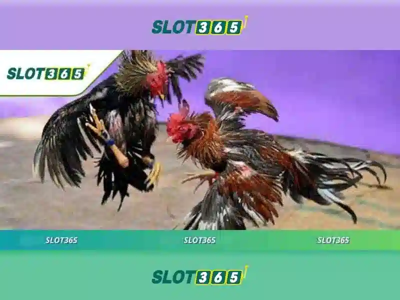 slot365 tải – Tóm lược chủ đề và giá trị cốt lõi