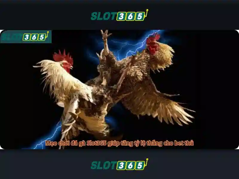 Ưu thế và Năng lực cạnh tranh