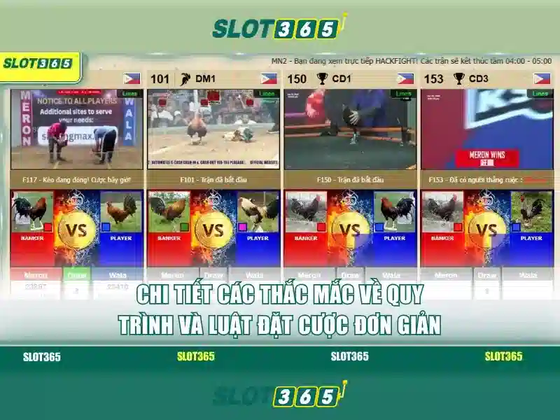 slot365 tải: Trải nghiệm RTP và tải app iOS dễ dàng