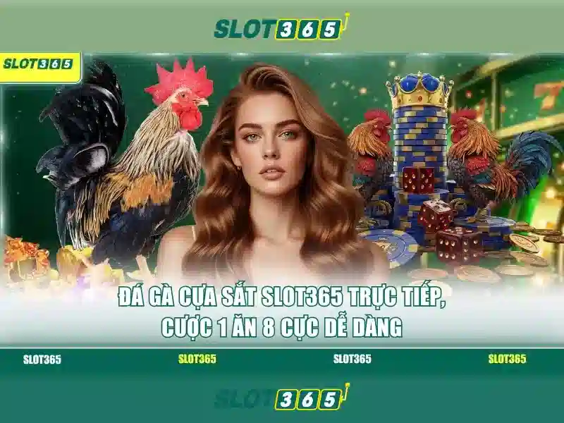 Tiện ích thanh toán và chăm sóc khách hàng