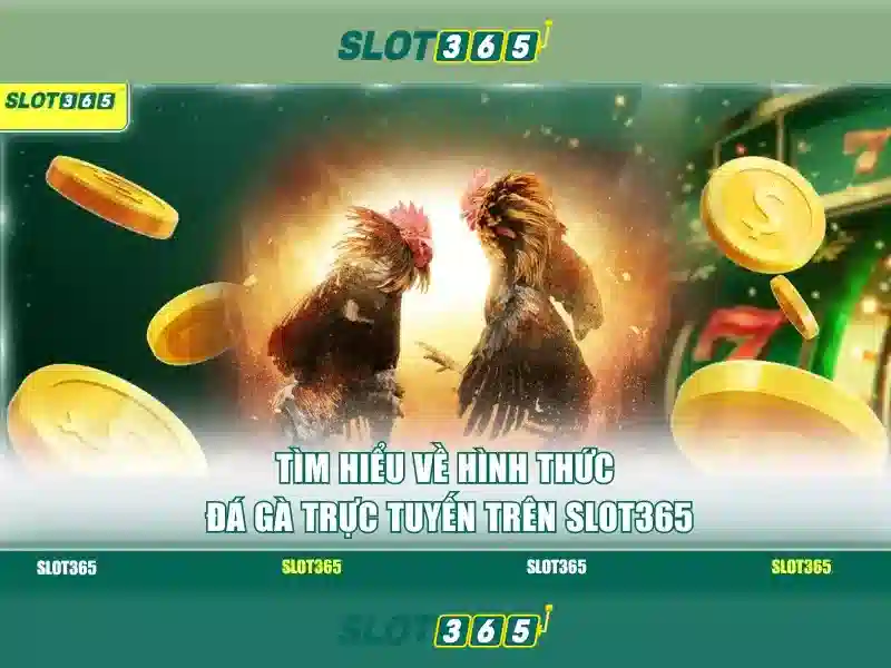 Slot365: Đánh giá nền tảng xè bạc trực tuyến