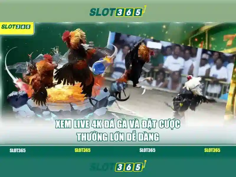 Các trò chơi có sẵn