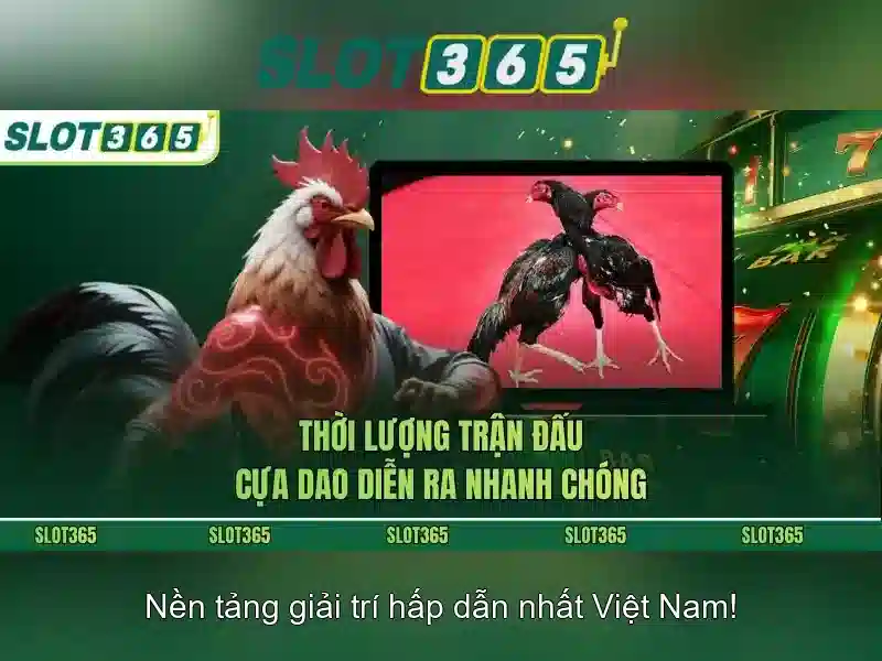 Giới thiệu về Slot365