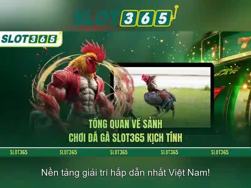 slot365 tải – Hành trình định danh và trải nghiệm người dùng