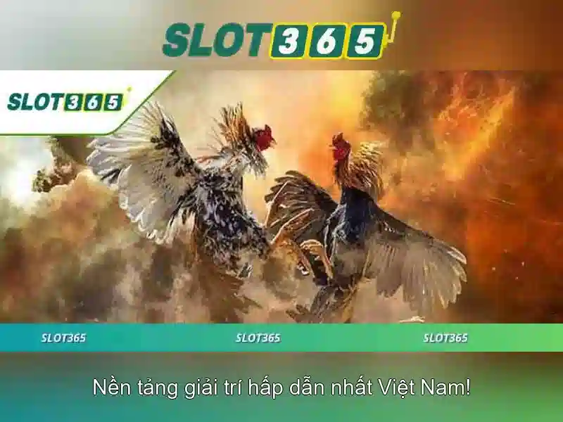 Slot365 - Nền tảng giải trí slot trực tuyến tại Việt Nam