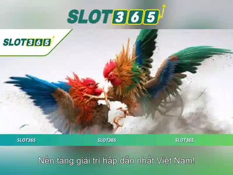 Slot365: Danh gia va thong tin can biet
