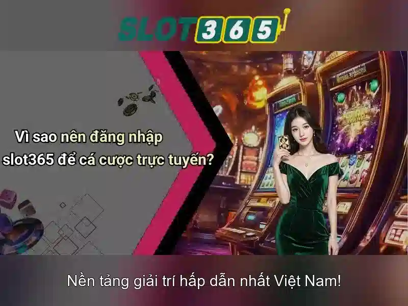 Trải nghiệm người dùng và giao diện