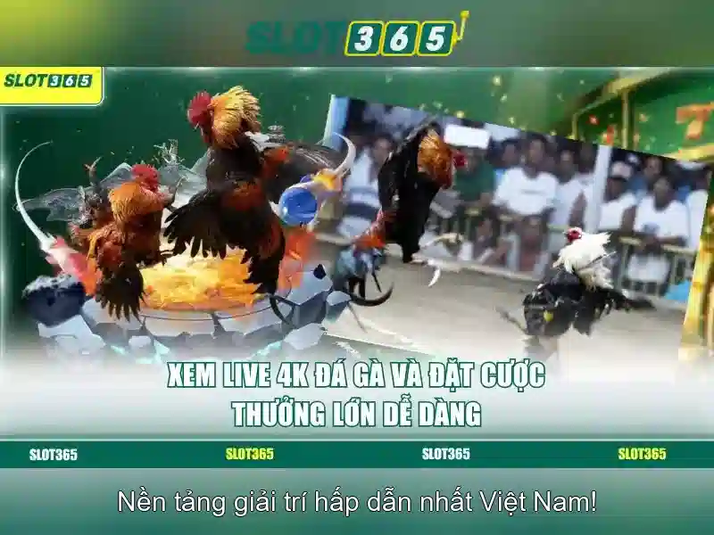 Slot365 – Tổng quan về nền tảng trò chơi xè bạc trực tuyến