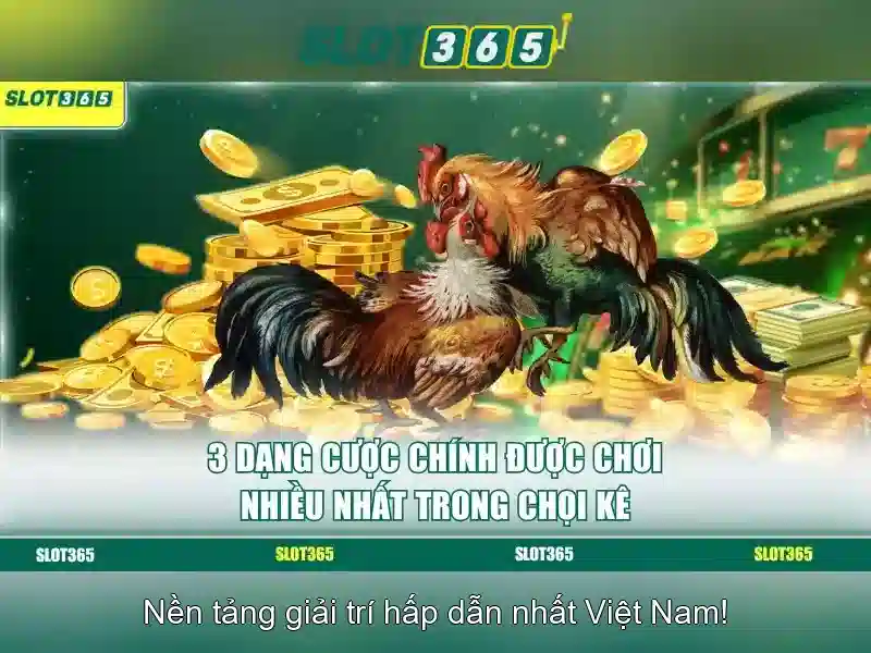 Danh mục trò chơi và tính năng tại Slot365\n\n<h2><b>Trải nghiệm người chơi và khuyến mãi</b></h2>\n<li style=