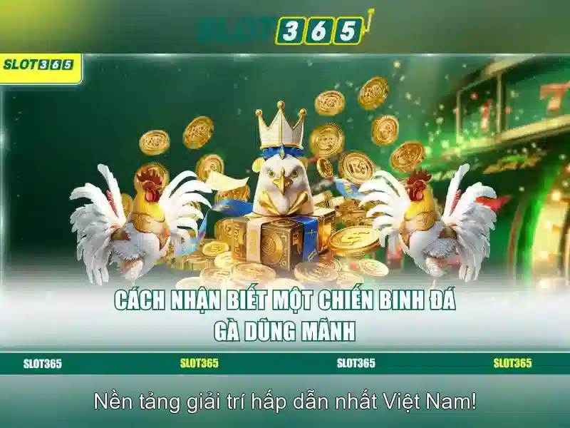 slot365 - Nền tảng slot trực tuyến tại Việt Nam
