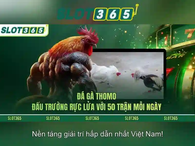 Slot365 là gì? Trải nghiệm và đánh giá ngắn gọn