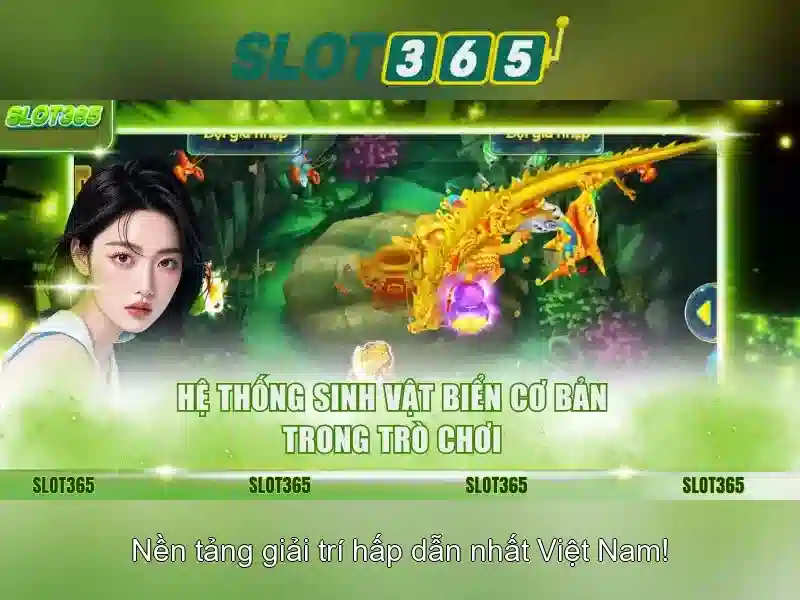 Khuyến mãi và chương trình thưởng