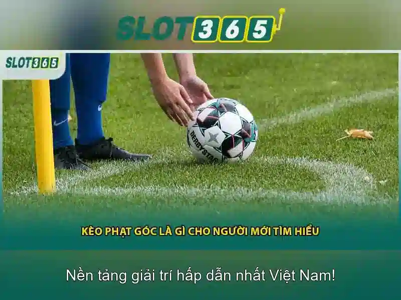 Slot365 - Tổng quan về nền tảng slot trực tuyến