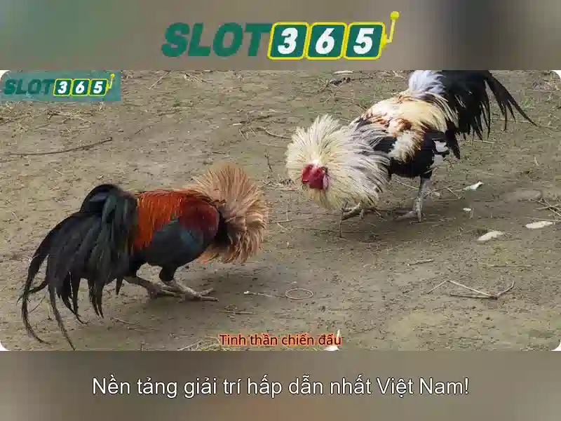 Trò chơi và nhà cung cấp\n\n<h2><b>Hướng dẫn đăng ký và chơi an toàn</b></h2>\n<li style=