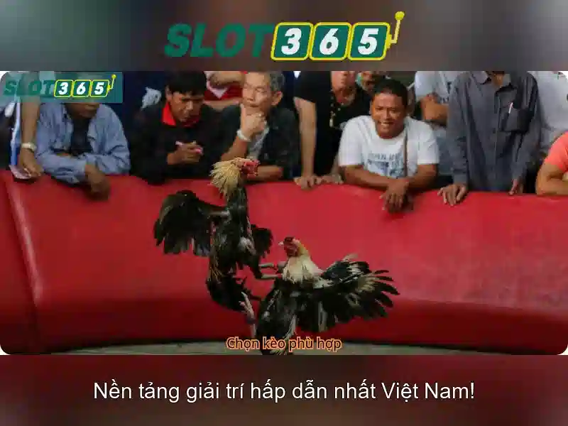 Khuyến mãi và chương trình thưởng