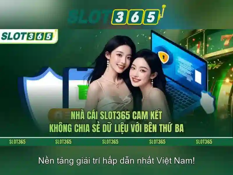 Trải nghiệm người dùng và phản hồi cộng đồng